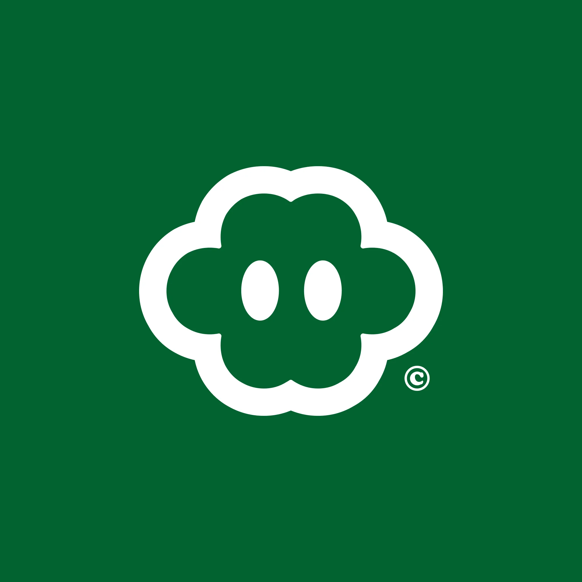 Studio Palla logo on green